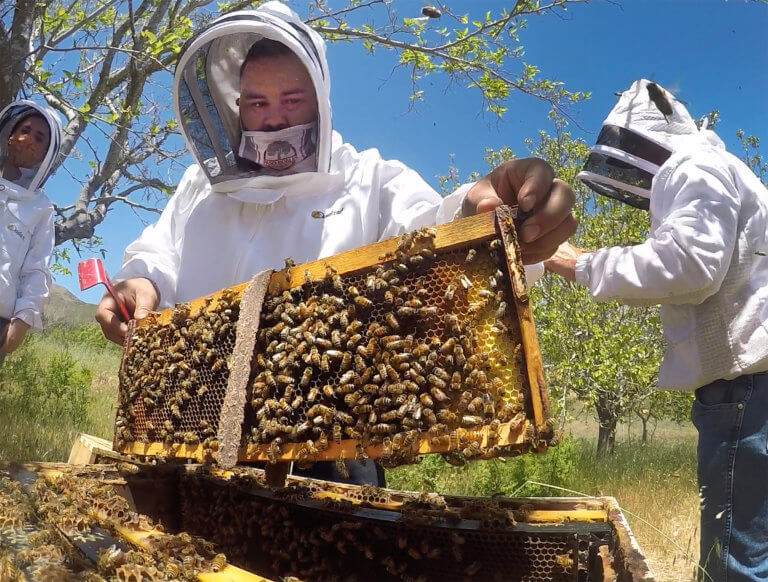 Javier Guerra working outdoors on beehive project