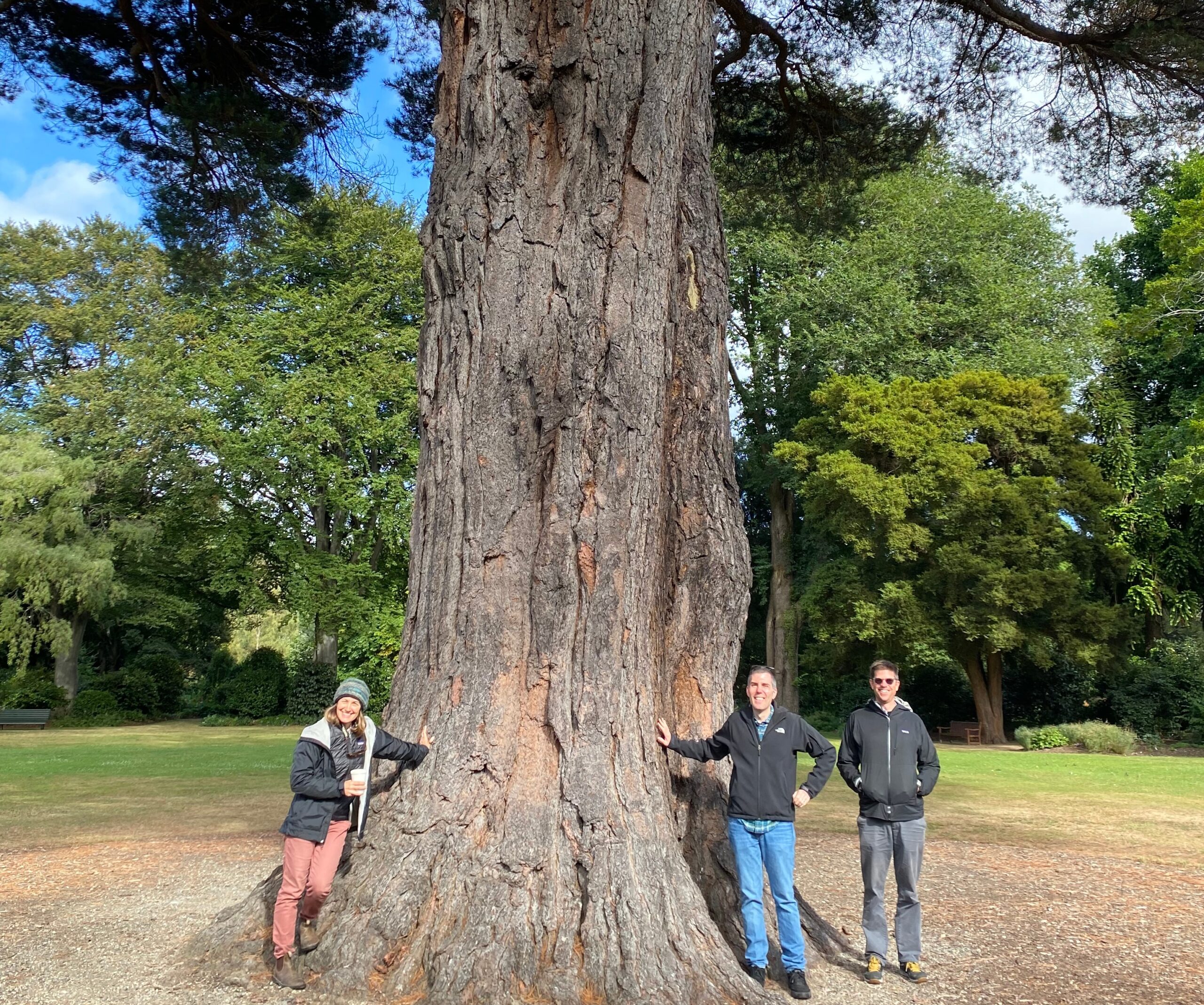 Biology Professor Jenn Yost, left, computer science Professor Jonathan Ventura, middle, and biology Professor Matt Ritter stand beneath a massive tree in Dunedin Botanical Garden, New Zealand.